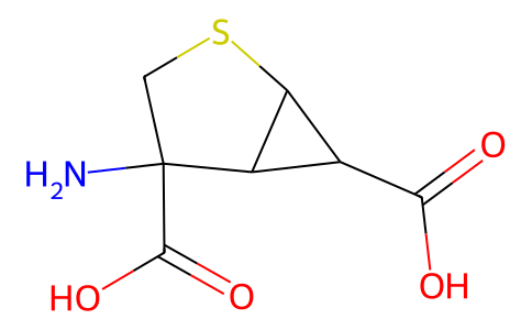 LY389795 222529-89-7